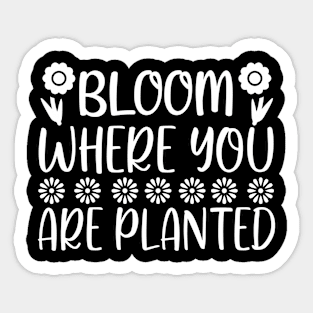 Bloom where you are planted - Best Gardening gift Sticker